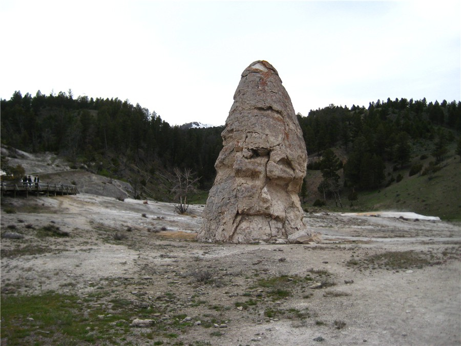 pp017