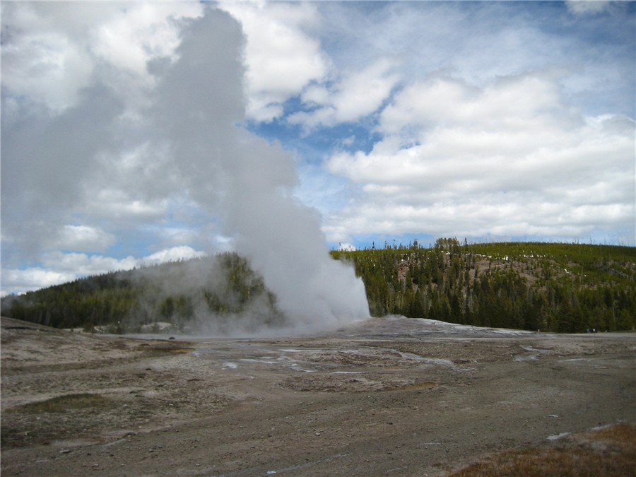 pp037