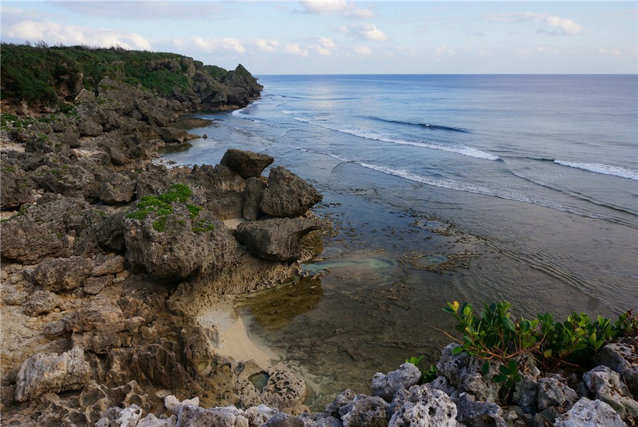 pp005